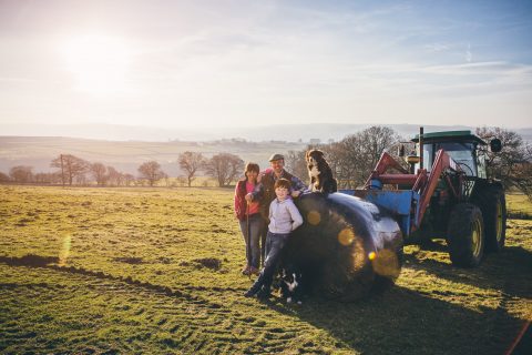 Partnership Agreements in your agricultural business