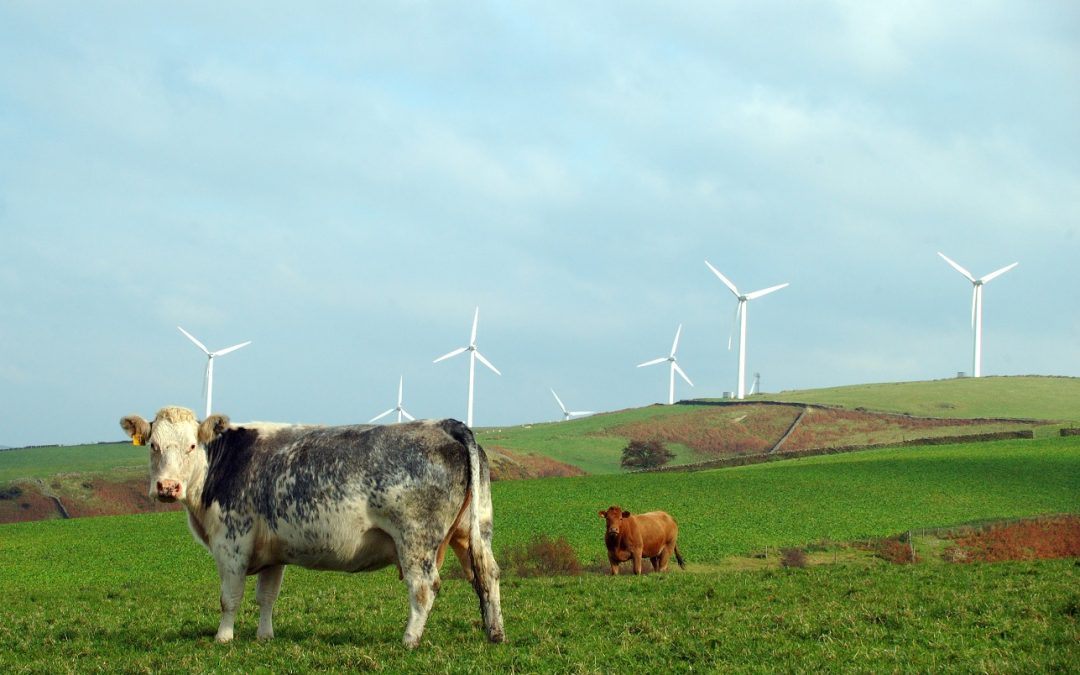 Back British Farming